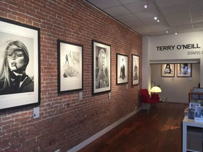 阿姆斯特丹15家你不能错过的画廊与博物馆