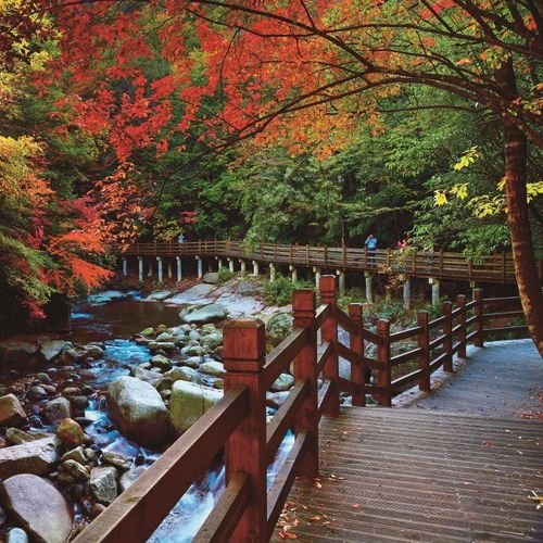 视觉影像·山水画廊 秀美巴中光雾山摄影大展作品三